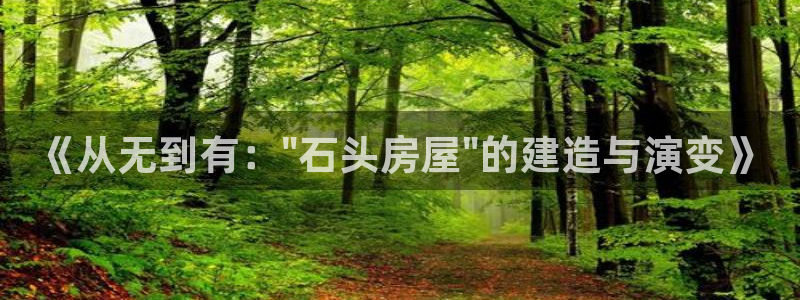 威九国际女主角：《从无到有：\