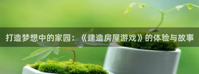 威九国际成长模式怎么样：打造梦想中的家园：《建造房屋游戏》的体验与故事
