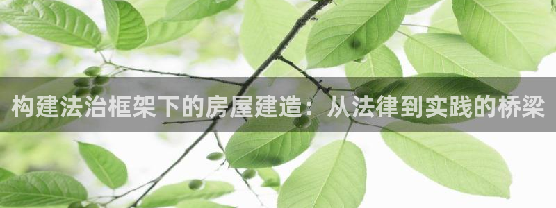 威九国际官方入口：构建法治框架下的房屋建造：从法律到实践的桥梁