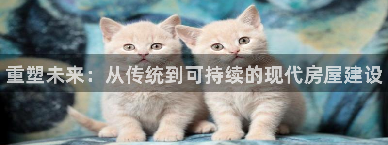 威九国际成长模式：重塑未来：从传统到可持续的现代房屋建设