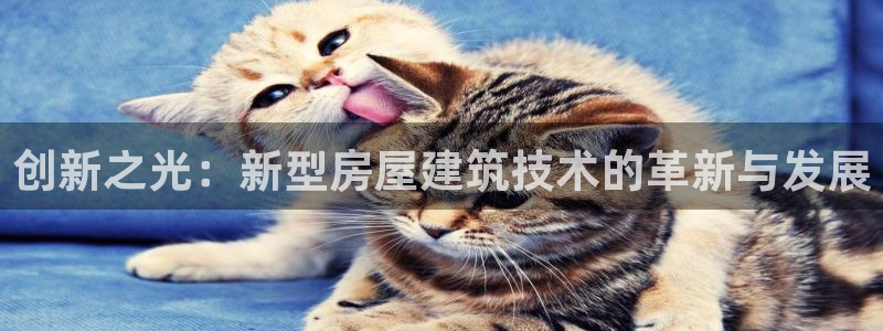 威九国际78mob官网版：创新之光：新型房屋建筑技术的革新与发展