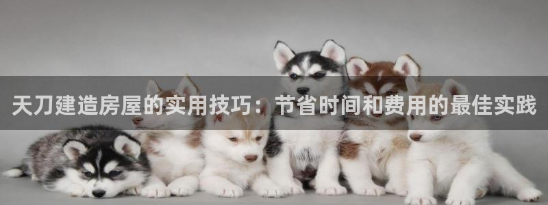 威九国际取款不到账：天刀建造房屋的实用技巧：节省时间和费用的最佳实践