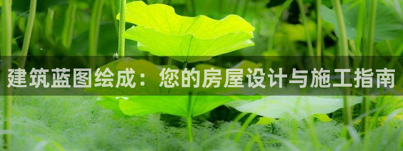 威九国际网站进入(中国)有限公司-官网：建筑蓝图绘成：您的房屋设计与施工指南