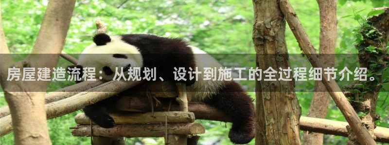 威九国际网站进入(中国)有限公司-官网：房屋建造流程：从规划、设计到施工的全过程细节介绍。