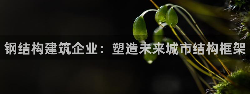 威九国际图片：钢结构建筑企业：塑造未来城市结构框架