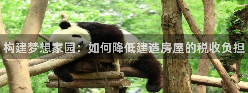 威九国际父亲的友人：构建梦想家园：如何降低建造房屋的税收负担