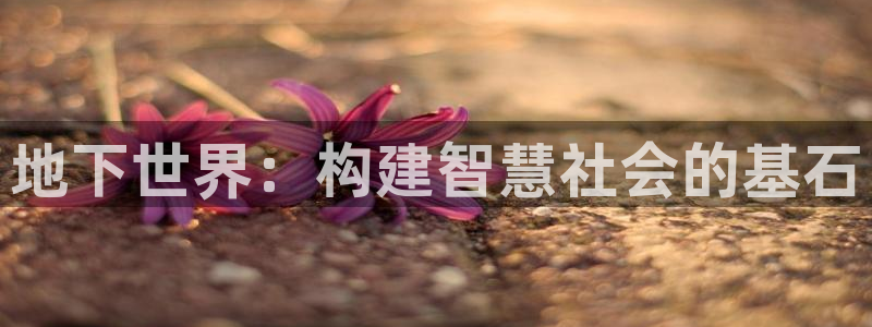 威九国际78mapp：地下世界：构建智慧社会的基石