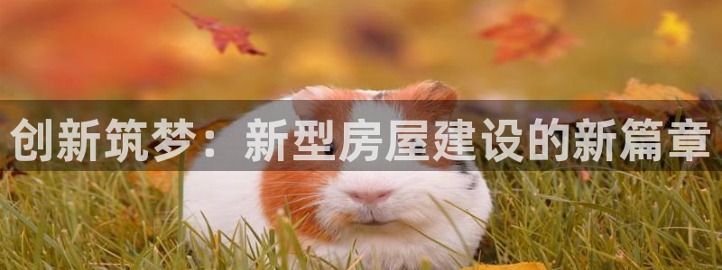 威九国际如何下载：创新筑梦：新型房屋建设的新篇章