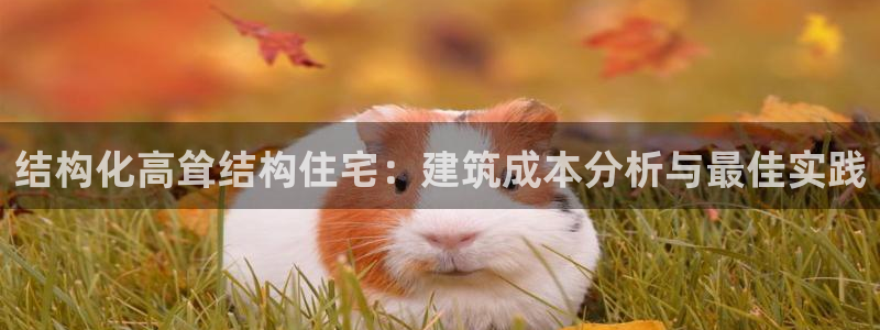 威九国际客服电话号码