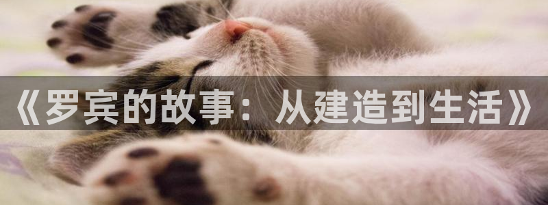 威九国际成长模式怎么样：《罗宾的故事：从建造到生活》